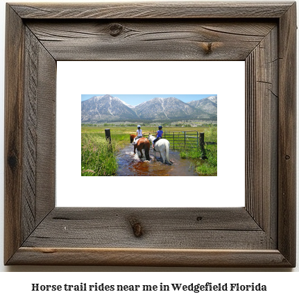 horse trail rides near me in Wedgefield, Florida